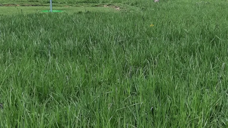 Povabilo k oddaji ponudbe za Multigolf 