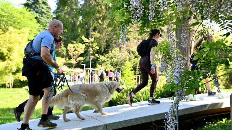 Pohod prijateljstva – 2 mesti, 1 srce
