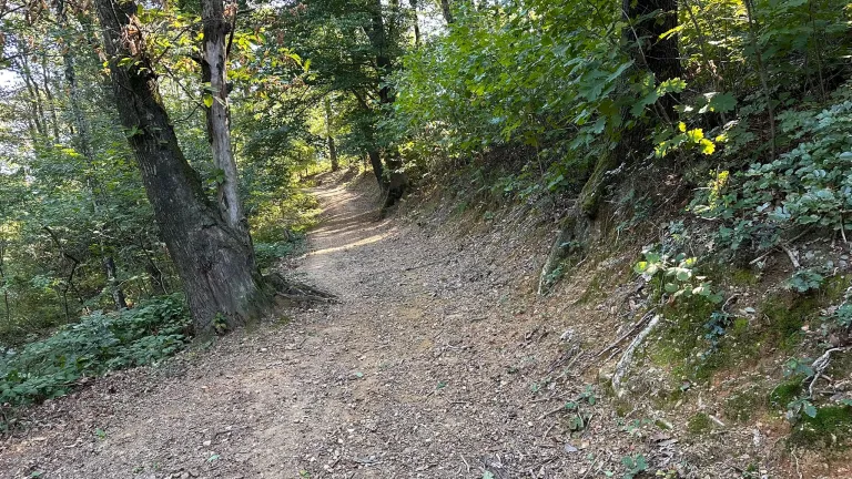 Trim steza in vadbena jasa Panovec